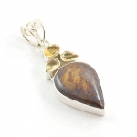 Bronzite